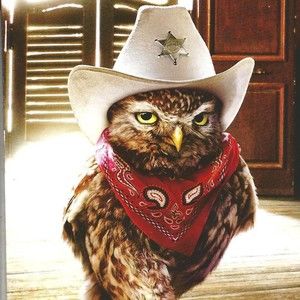 Meet your Posher, Lynn o